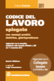 CODICE DEL LAVORO SPIEGATO - 2011