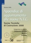 Appendice di aggiornamento alle nuove N.T.C.