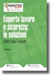 Esperto Lavoro e sicurezza: le soluzioni 500 casi risolti - 2� edizione 2010