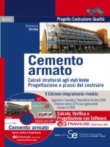 Cemento armato con Software TRAVILOG eXpress SE